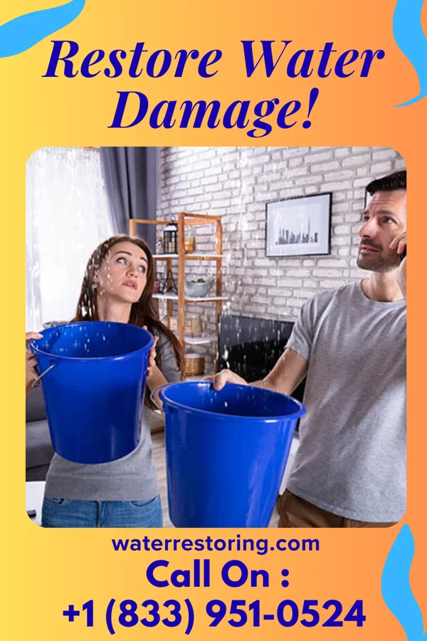 water restoration Prestige Property Restoration LLC Chauncey